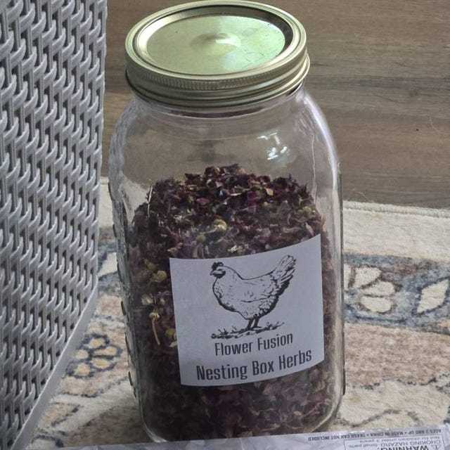 Oeufs frais naturels d'élevage en plein air dans des nids en panier