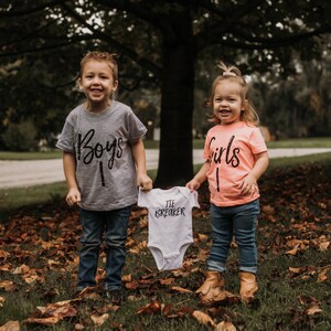  Tiebreaker pregnancy announcement shirt 3rd baby reveal  flamingo and grey shirts : Handmade Products