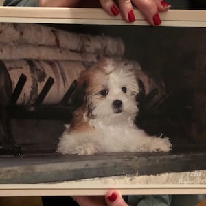 Amelia added a photo of their purchase