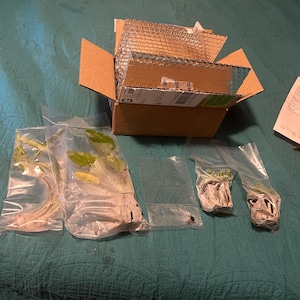 Authoress added a photo of their purchase