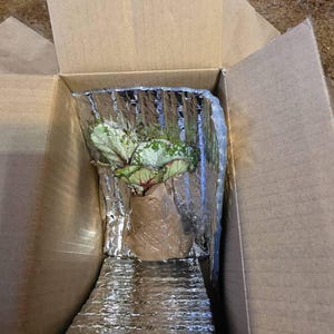 Charlotte added a photo of their purchase