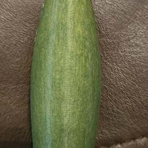 Tina ha aggiunto una foto del proprio acquisto