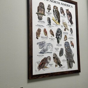 Owls of North America Poster - SIGNED BY ARTIST! - Etsy