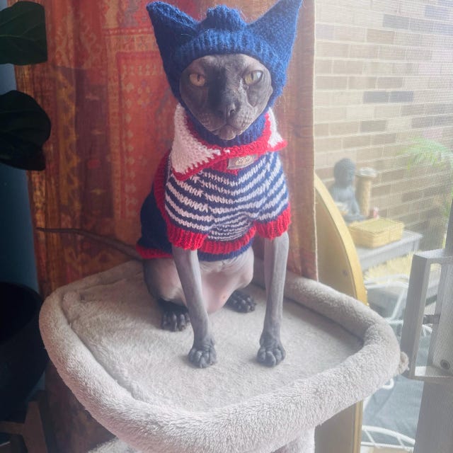 White Cat Hat Sphynx Cat Accessories Pet Beanie Hand Knit Hat for