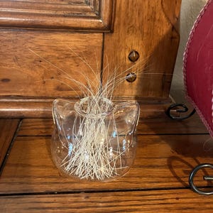 Holly added a photo of their purchase