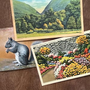 Leyda added a photo of their purchase