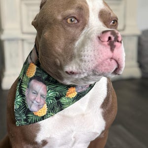 Desiree added a photo of their purchase