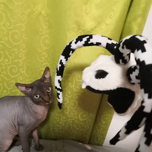 Jaromir Fasina added a photo of their purchase