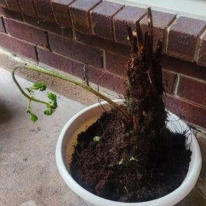 Gerrison added a photo of their purchase