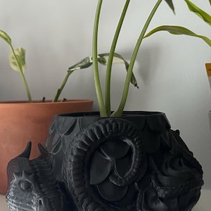 Brittany adicionaram uma foto da sua compra