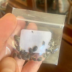 Stephanie added a photo of their purchase
