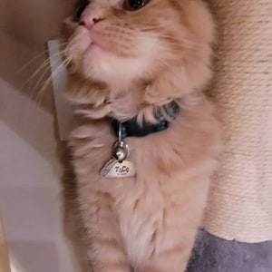Comprador de Etsy ha añadido una foto de su compra