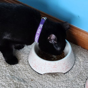 Jenny added a photo of their purchase