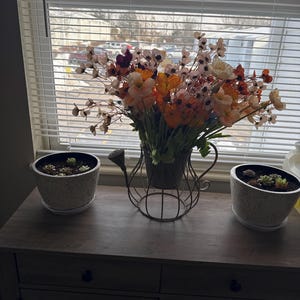 Susan added a photo of their purchase