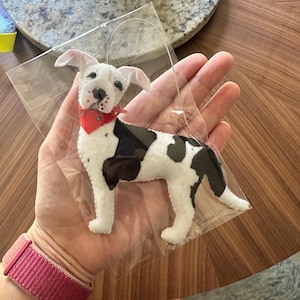 Laura adicionaram uma foto da sua compra