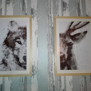 Anna added a photo of their purchase