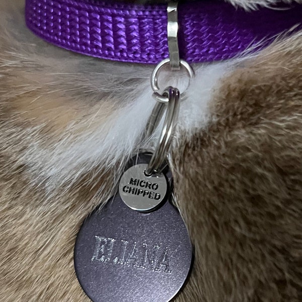 Vaccinated Add On Dog Tag, Rabies Tiny Tag, Dog Collar, Pet Tag, Pet ID Tag, Pet Accessories, Engraved Tag, Cat Tag, Cat Collar Tag, 10mm