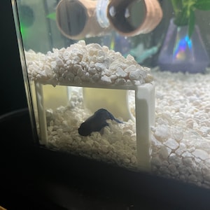 Scarlet ha añadido una foto de su compra