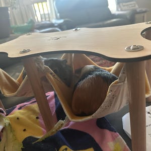 June added a photo of their purchase