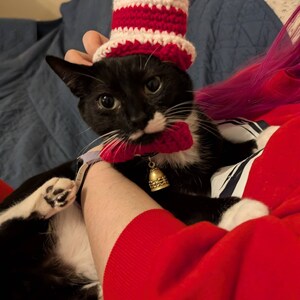 Cat in the hat costume for cats hotsell