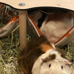Sara added a photo of their purchase