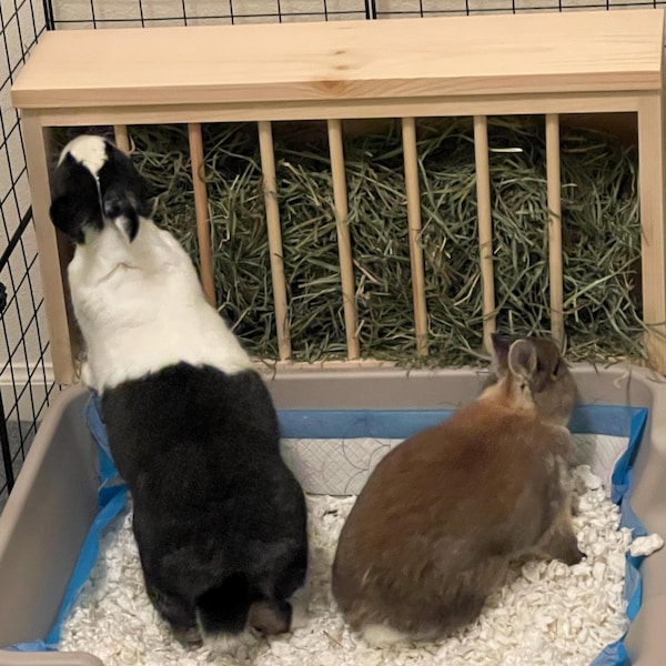 Large EZ Entry 3.0 - Hop Box: Double Entry Rabbit Bunny Easy Entry Hay ...