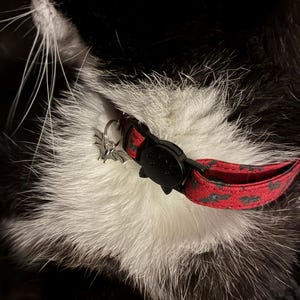 Skye さんが購入した商品の写真を追加しました