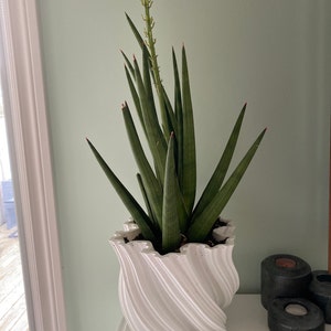 Erin added a photo of their purchase