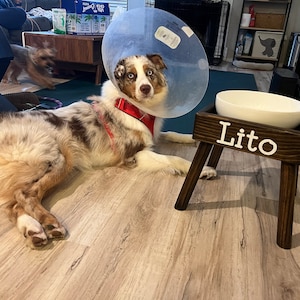 Yinxi added a photo of their purchase