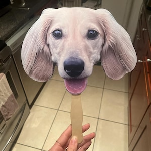Courtney added a photo of their purchase