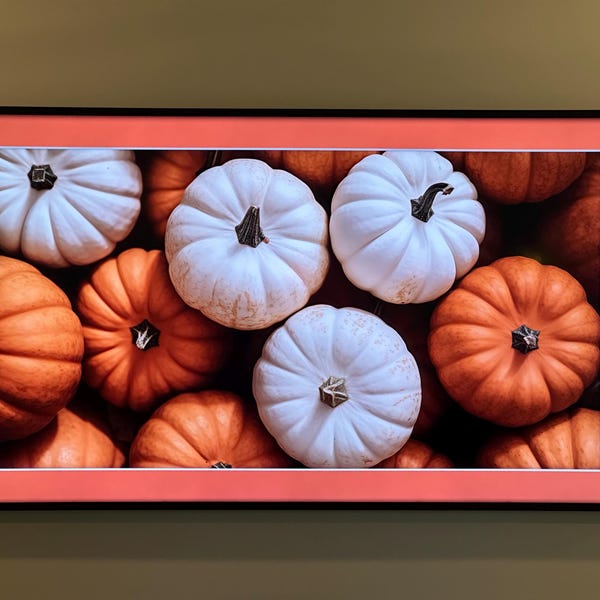 Herbstwald Print, Herbstfarben Kunst, Herbst Print, Herbst Dekor