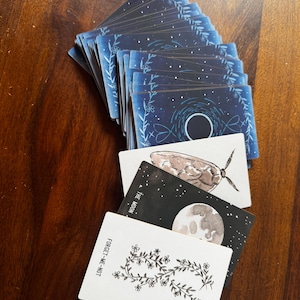 K. added a photo of their purchase