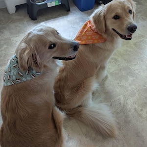 Melissa added a photo of their purchase
