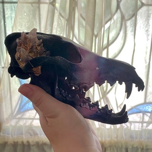 Angel added a photo of their purchase