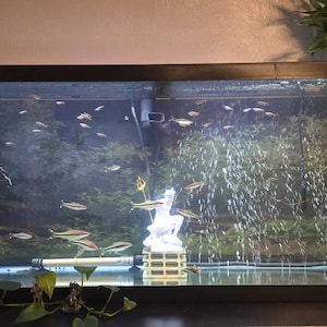 Adam さんが購入した商品の写真を追加しました
