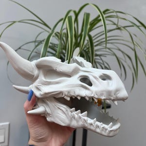 Marcy added a photo of their purchase