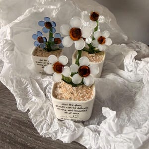 Vanessa added a photo of their purchase