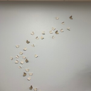 Chenayle Hatfield added a photo of their purchase