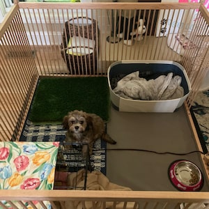 Dog crate with pee pad area sale