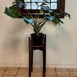 C adicionaram uma foto da sua compra