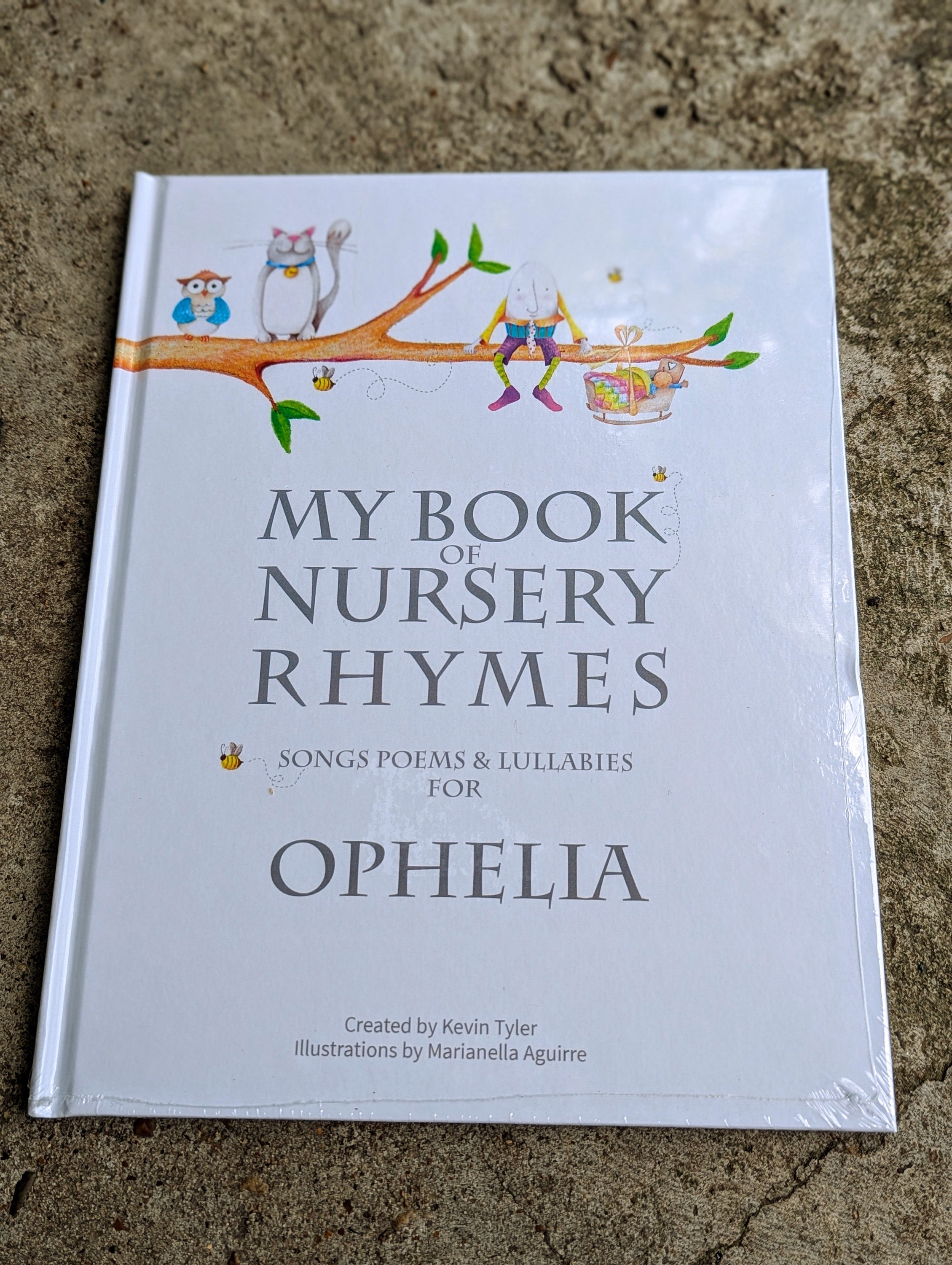 Birthday Gift for Baby, Baby Shower Present, Personalized Gift for Baby, Birthday Book for child, First Birthday Gift, Custom Gift for Baby