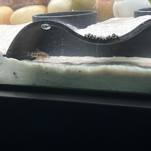 Sara heeft een foto van de aankoop toegevoegd