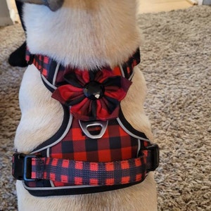 egutscher added a photo of their purchase