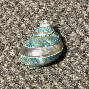 Jason added a photo of their purchase