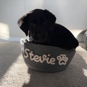 Kristin added a photo of their purchase