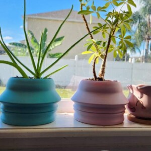 Sophia added a photo of their purchase