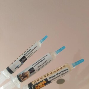 Mushroom Bags with Injection Port