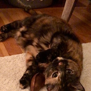 Meggie ha añadido una foto de su compra