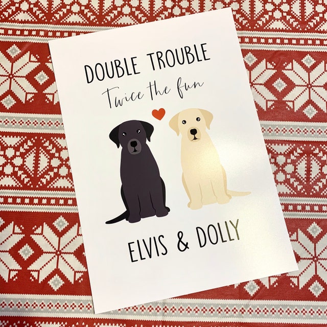Double Trouble Twice the Fun Labrador Print Two Labradors 
