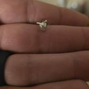 Brandon added a photo of their purchase